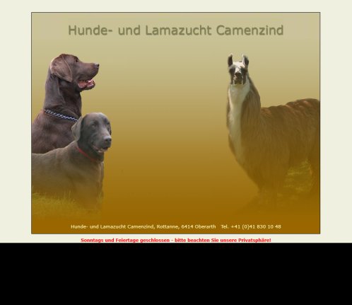 Hundezucht und Lamas Camenzind Oberarth Golden Retriever Labrador Erfahrung Hundezucht und Lamas Camenzind Oberarth Golden Retriever Labrador Öffnungszeit